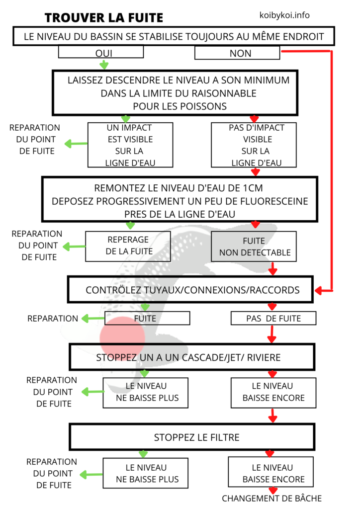 Fuite dans le bassin
