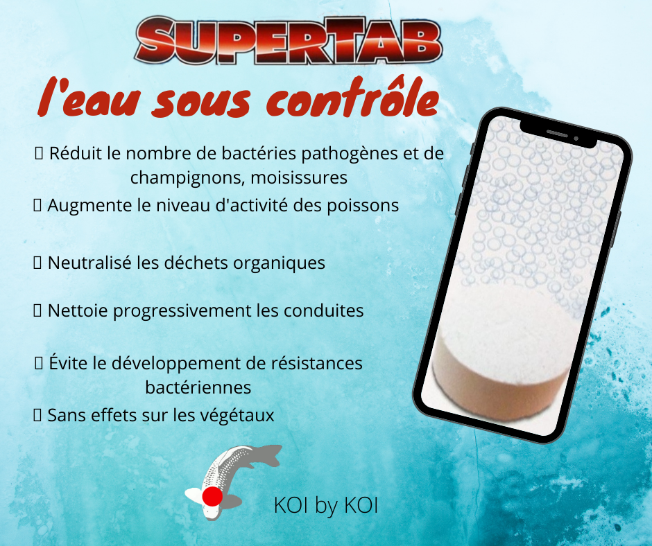 FAQ #11 PUIS-JE VIDER COMPLETEMENT MON BASSIN? – Blog KOI by KOI