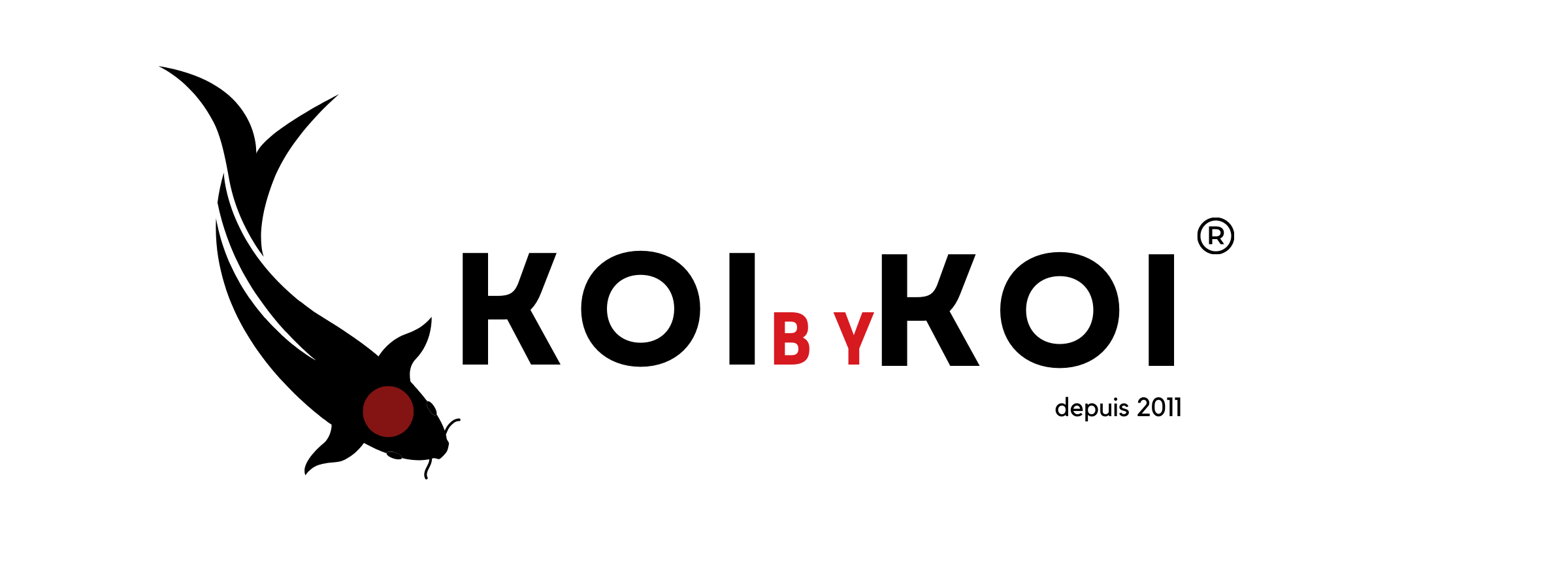 Blog KOI by KOI